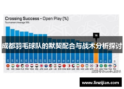 成都羽毛球队的默契配合与战术分析探讨