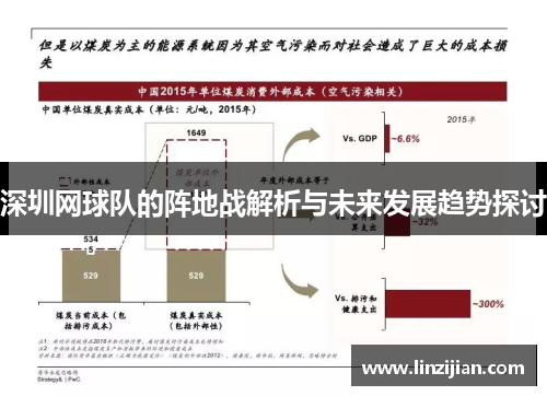 深圳网球队的阵地战解析与未来发展趋势探讨