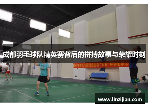 成都羽毛球队精英赛背后的拼搏故事与荣耀时刻